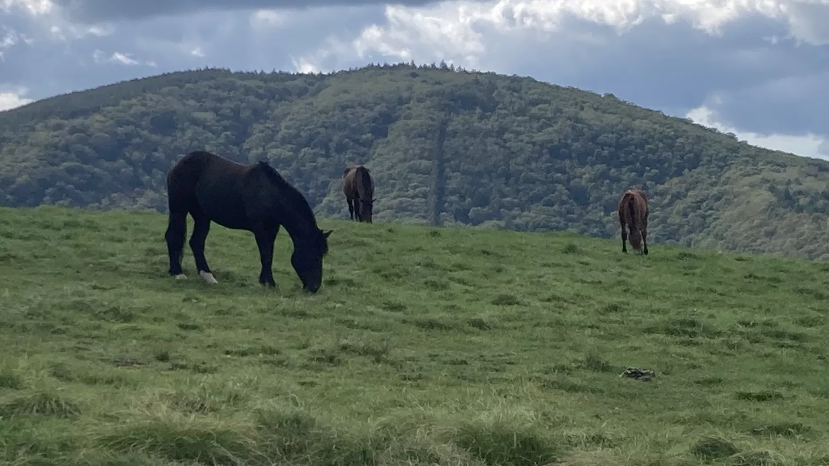 ブログアイコン