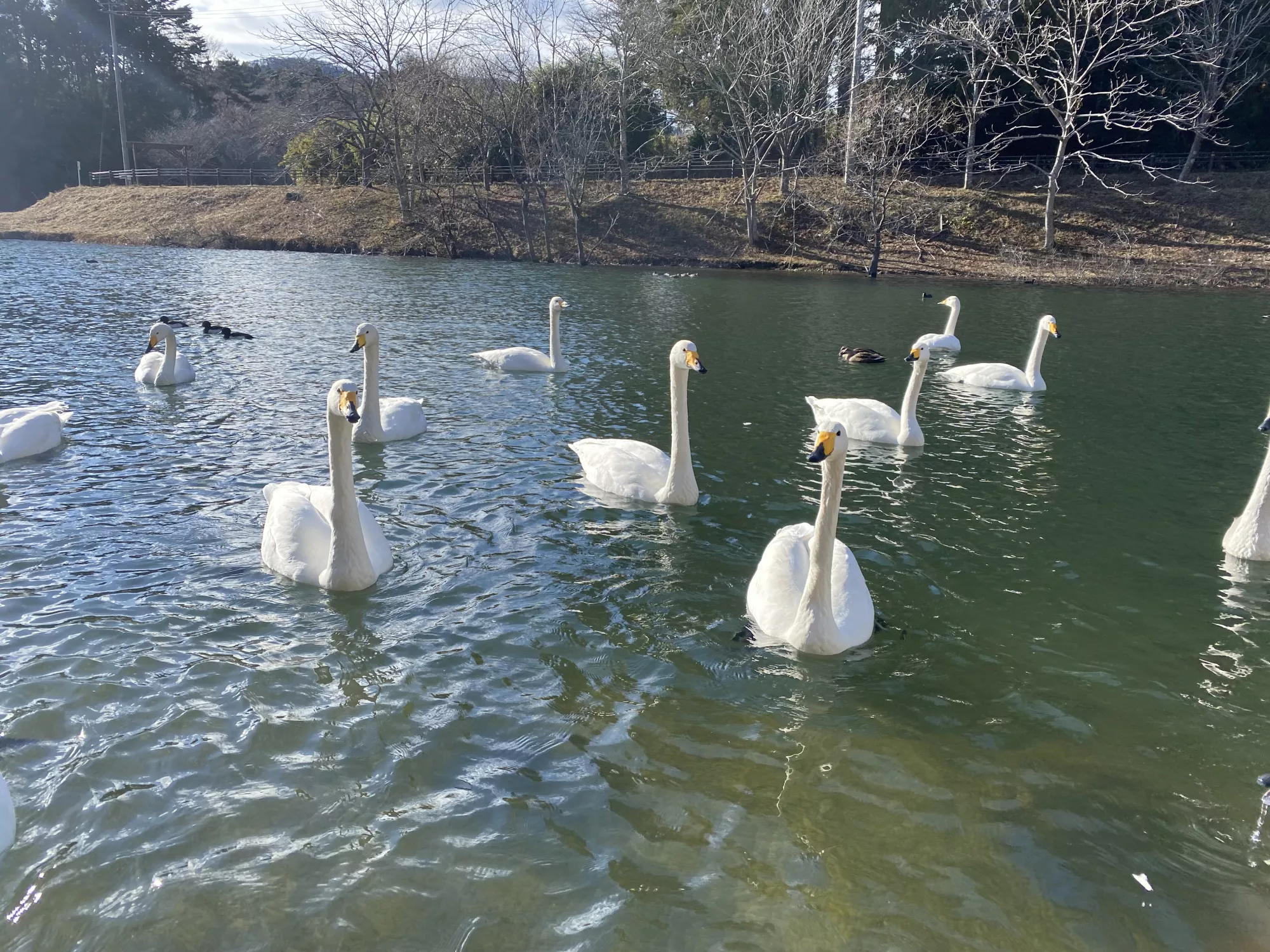 ブログアイコン