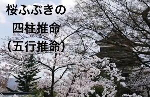 桜ふぶき｜長野県松本市の四柱推命