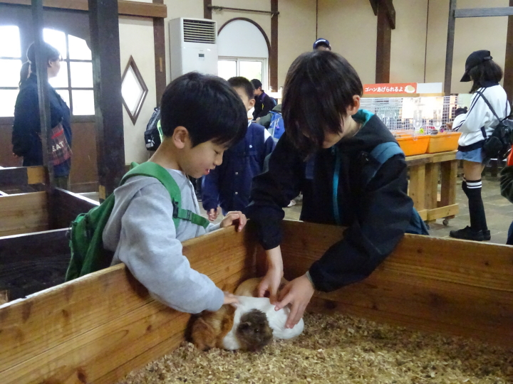 クリックすると拡大します