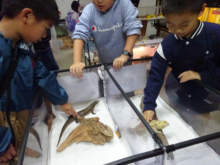 クリックすると拡大します