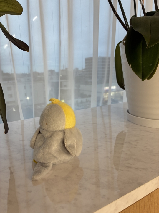 クリックすると拡大します