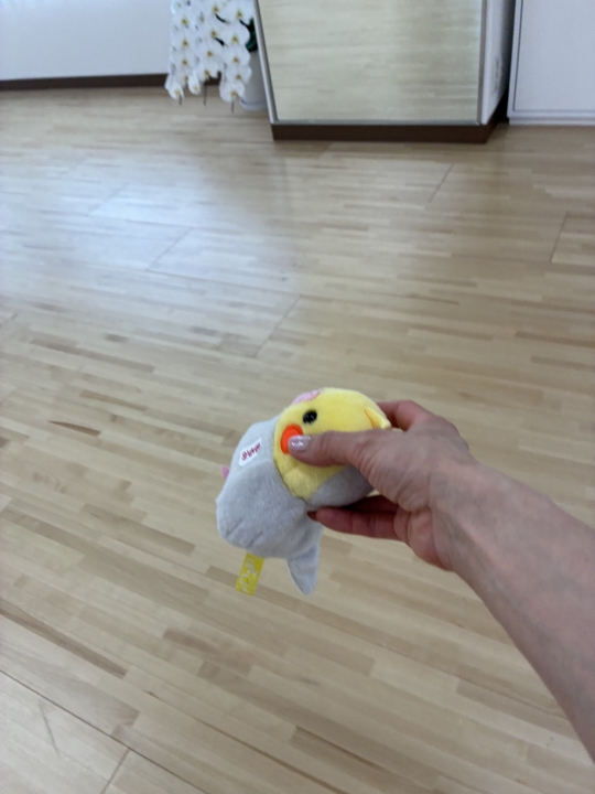 クリックすると拡大します