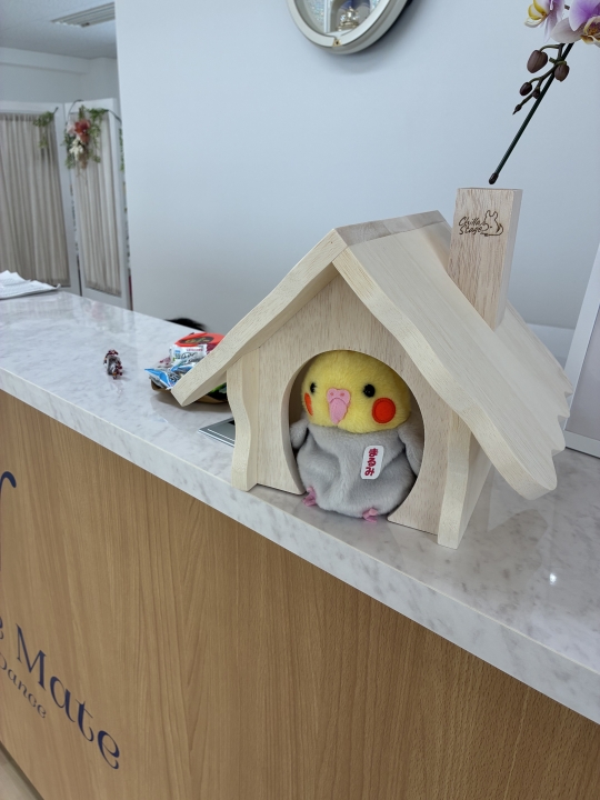 クリックすると拡大します