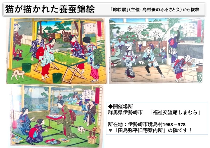 クリックすると拡大します