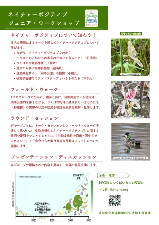 クリックすると拡大します