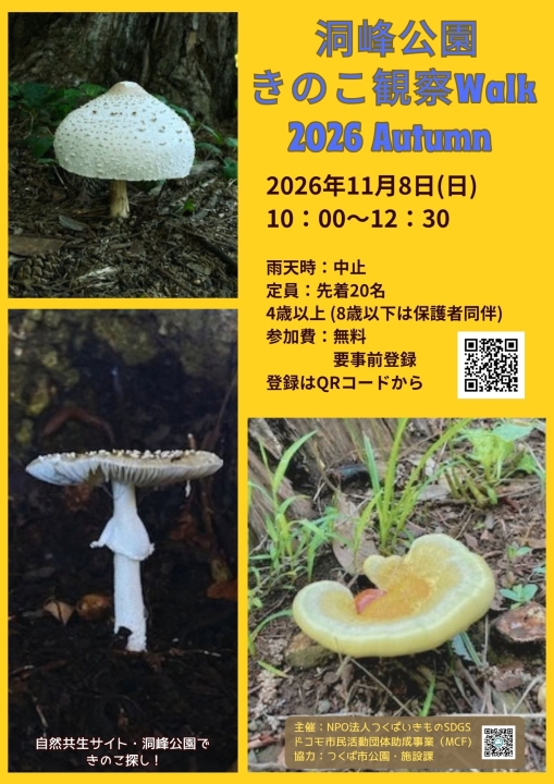 クリックすると拡大します