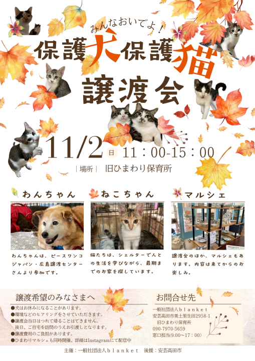 クリックすると拡大します