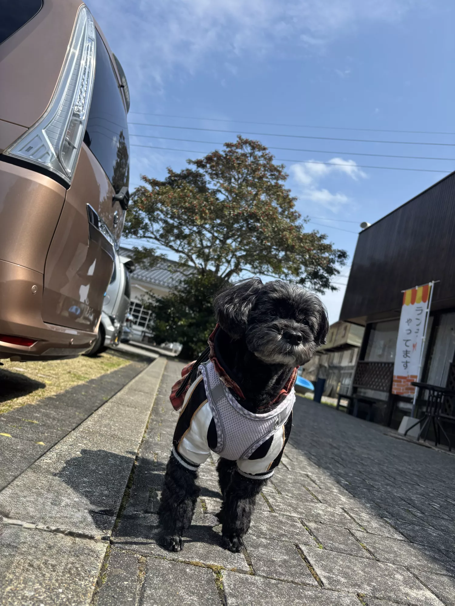 ブログアイコン