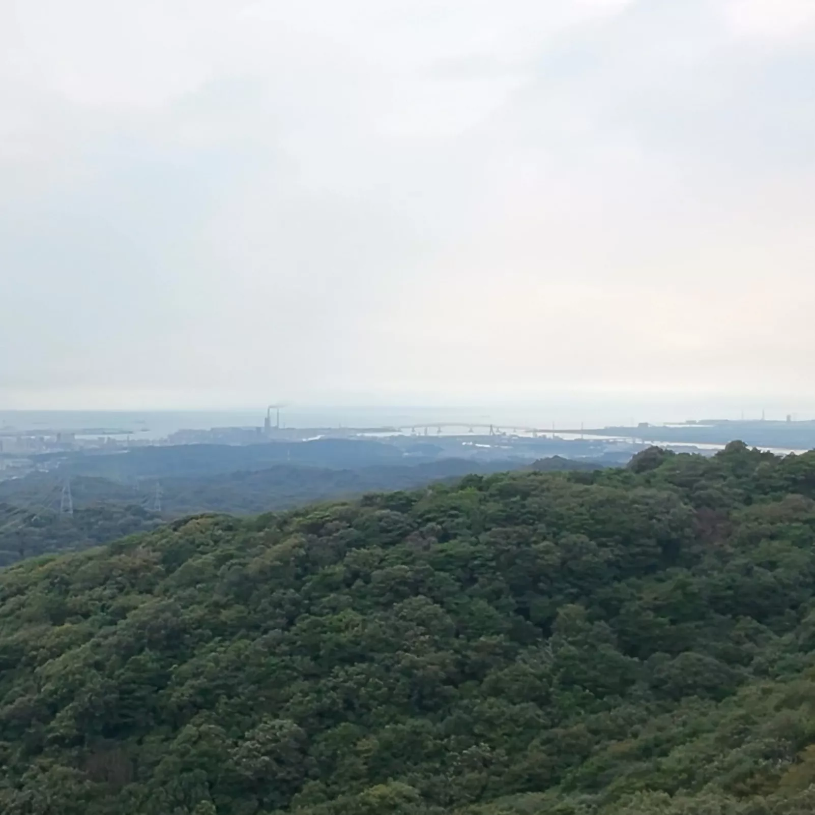 ブログアイコン