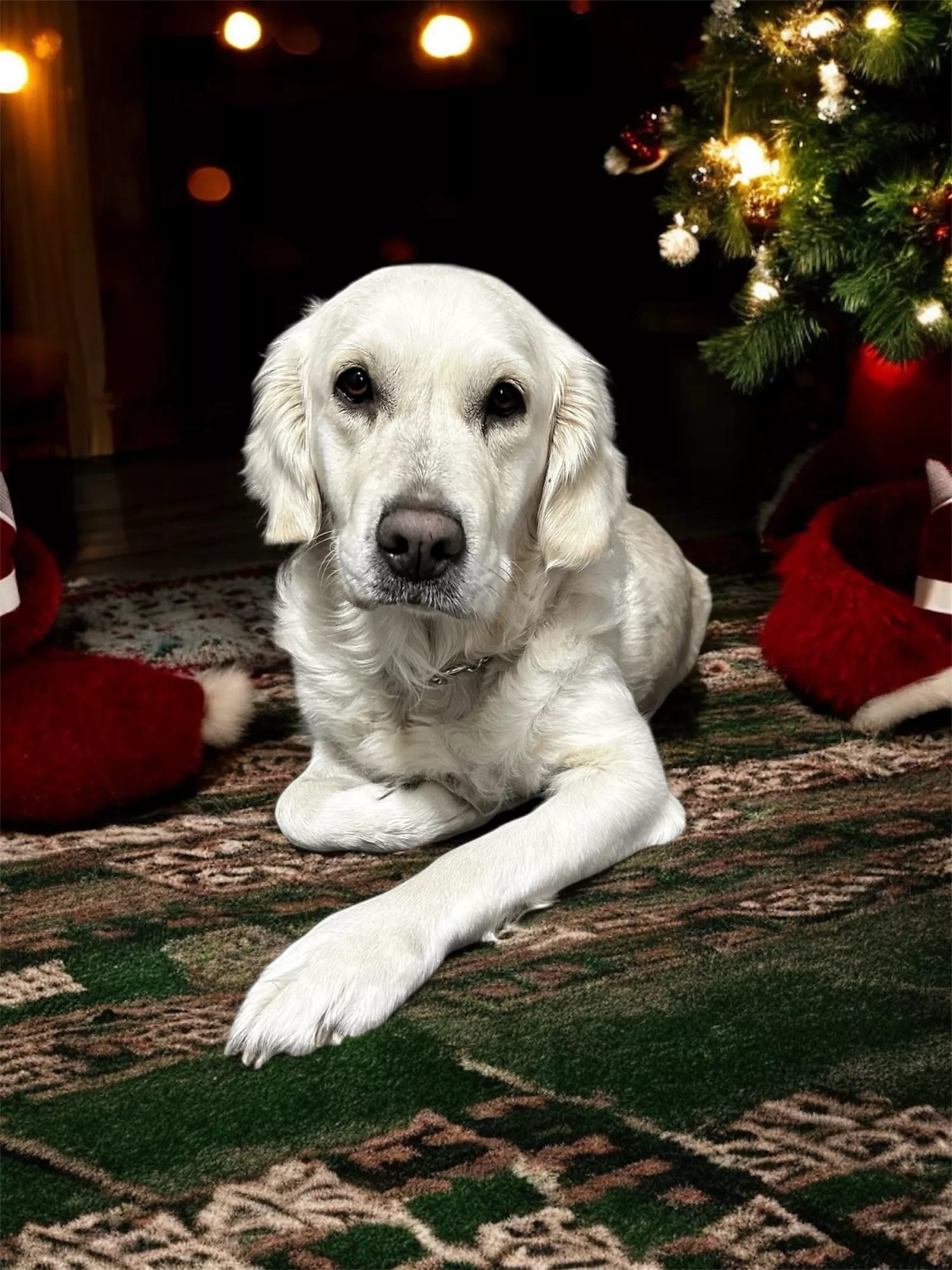 ブログアイコン