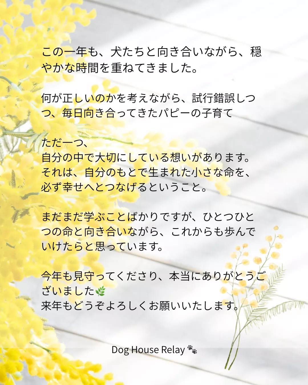 ブログアイコン