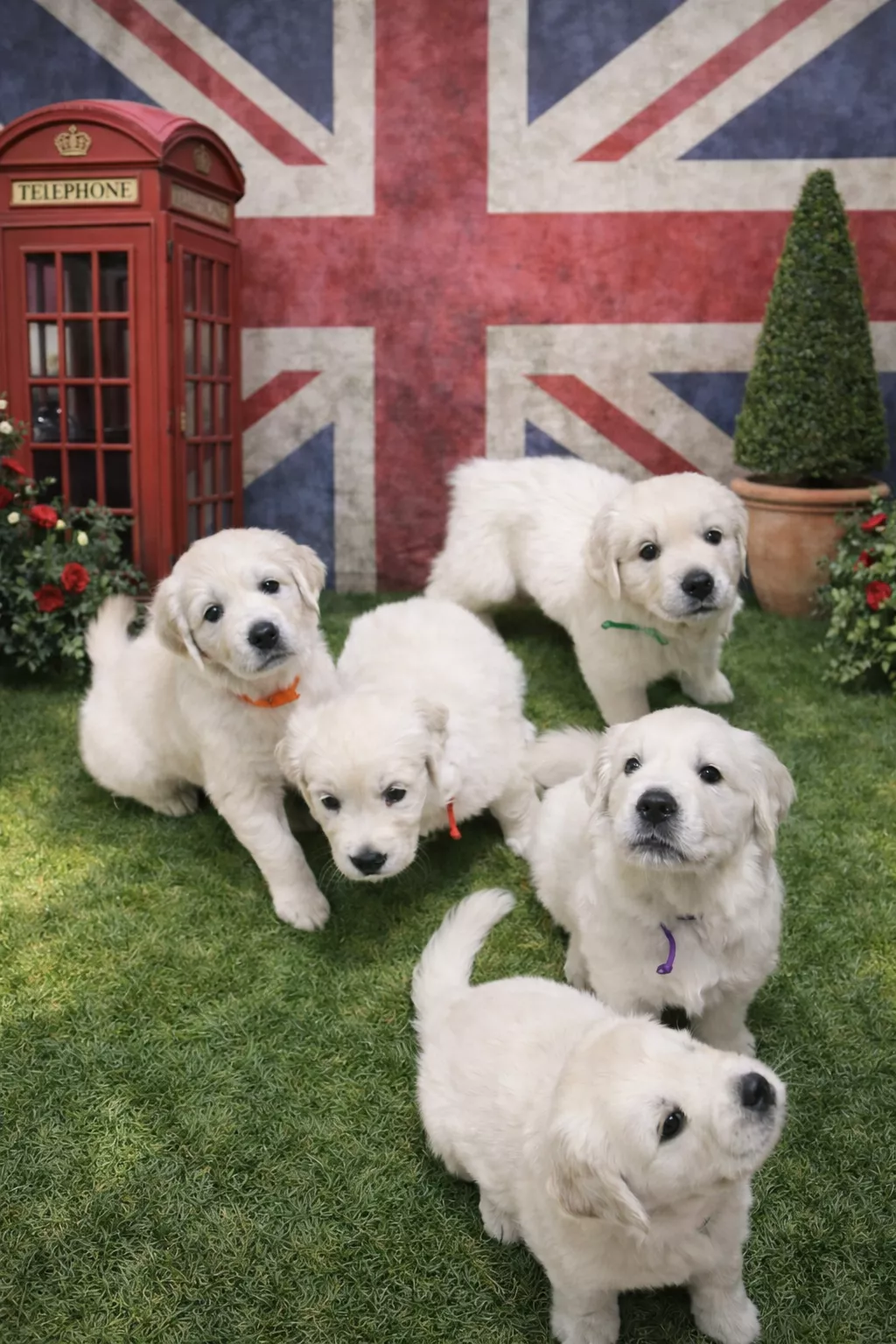 ブログアイコン