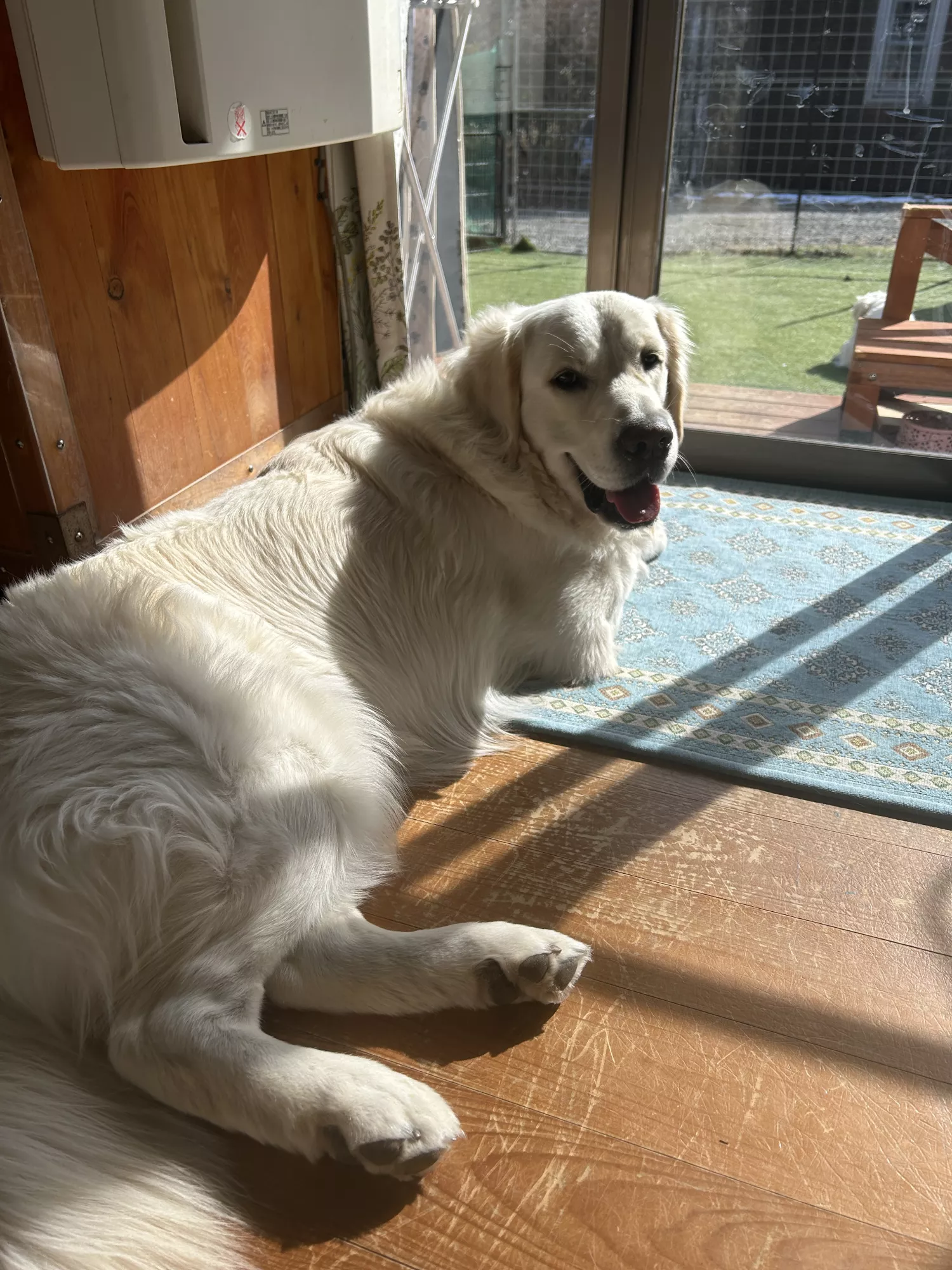 ブログアイコン