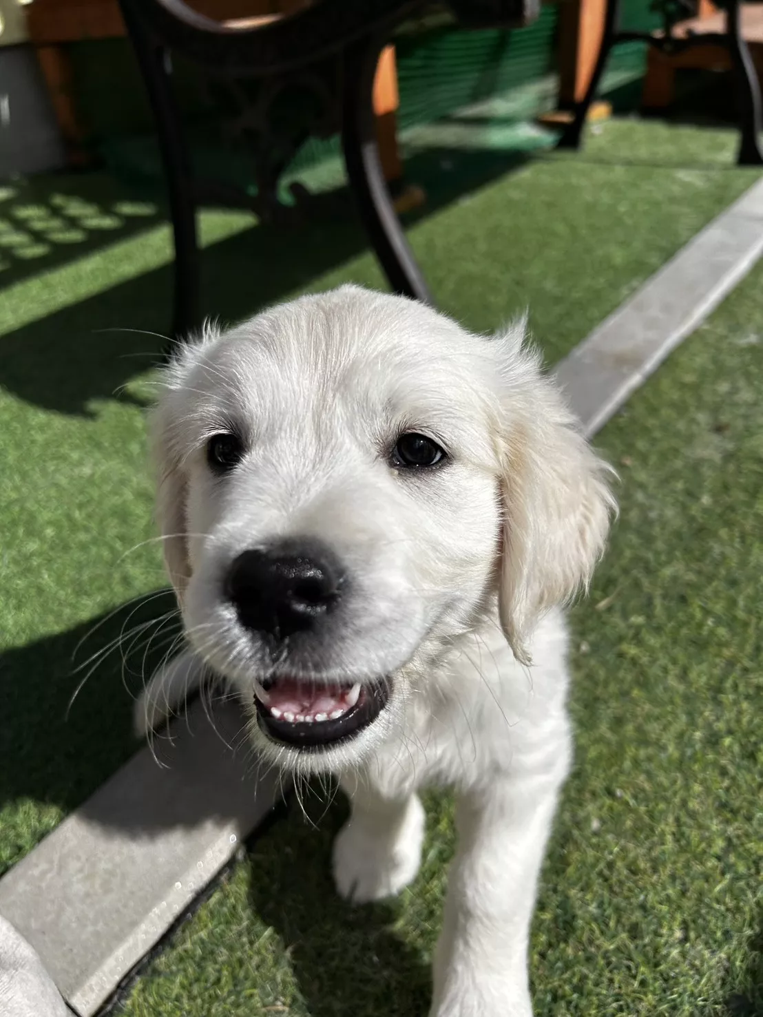 ブログアイコン