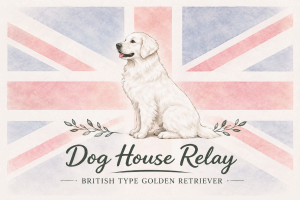 Dog House Relay