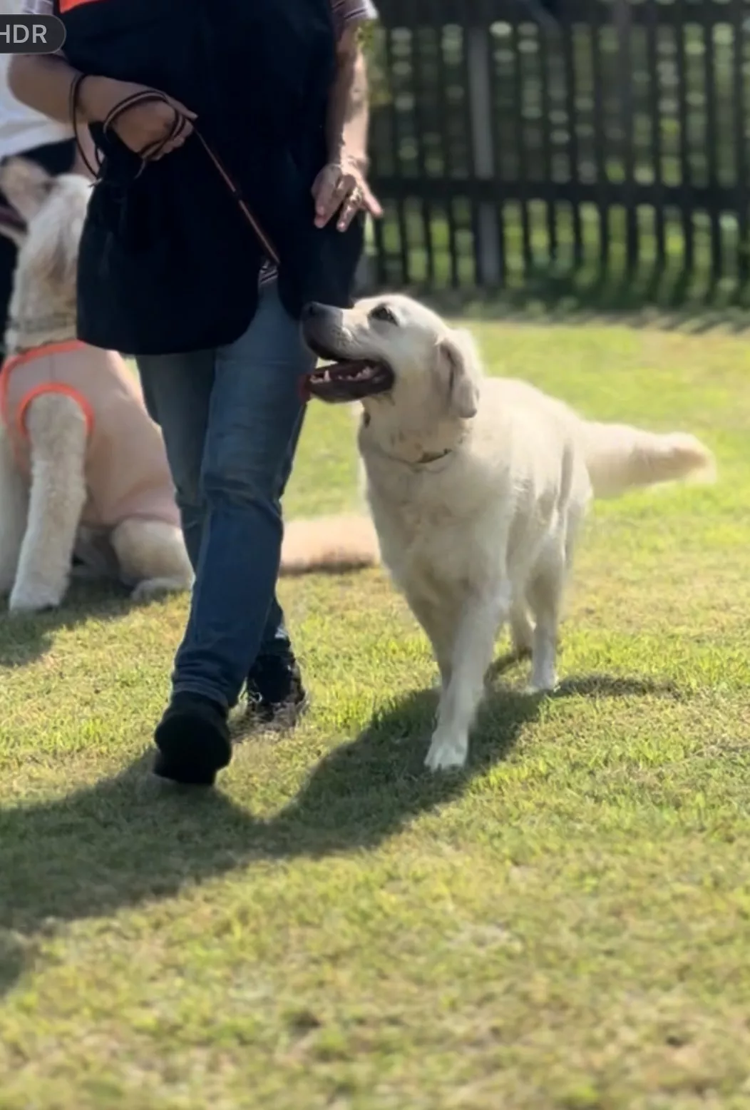 ブログアイコン