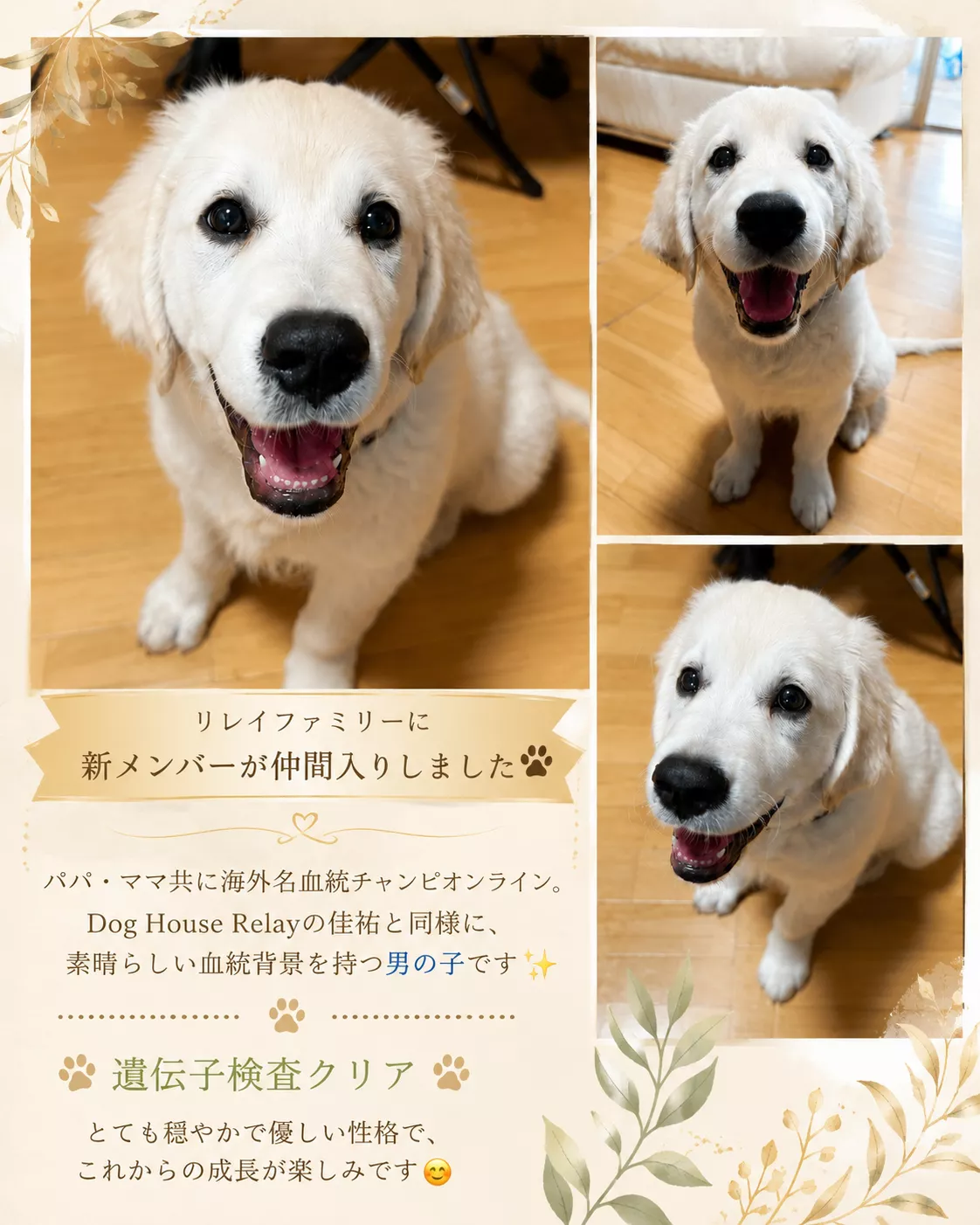 ブログアイコン
