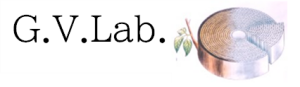 G.V.Lab.（Global Volunteer Laboratory)