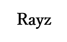 合同会社Rayz