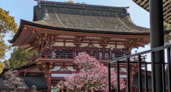 スピリチュアルカウンセリング福岡