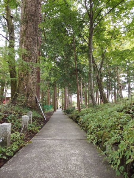 緑豊かな木々に囲まれた静かな参道