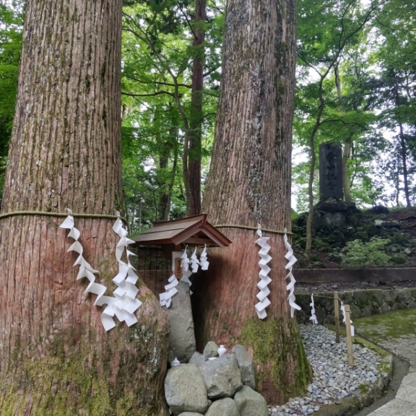 御神木と祠のある神聖な境内