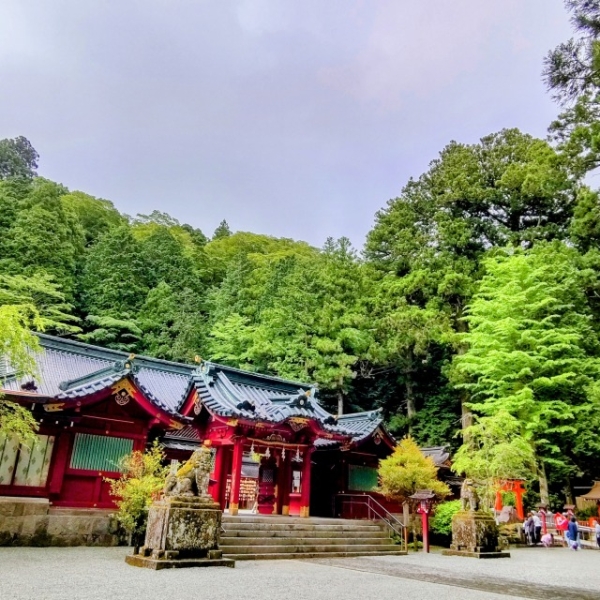 神社参拝