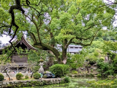 結婚占い