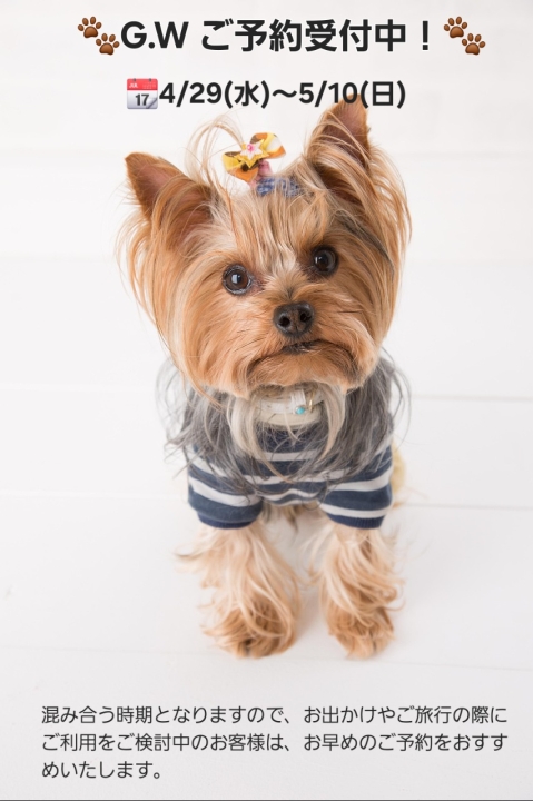 クリックすると拡大します