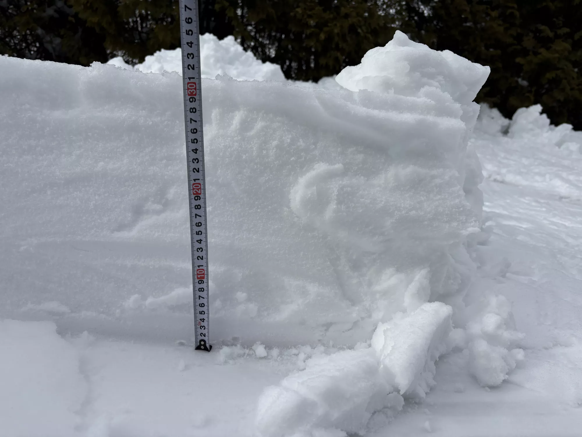 ブログアイコン