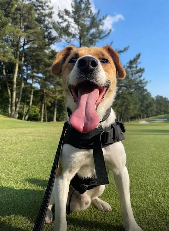 ブログアイコン