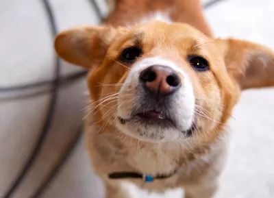 ブログアイコン