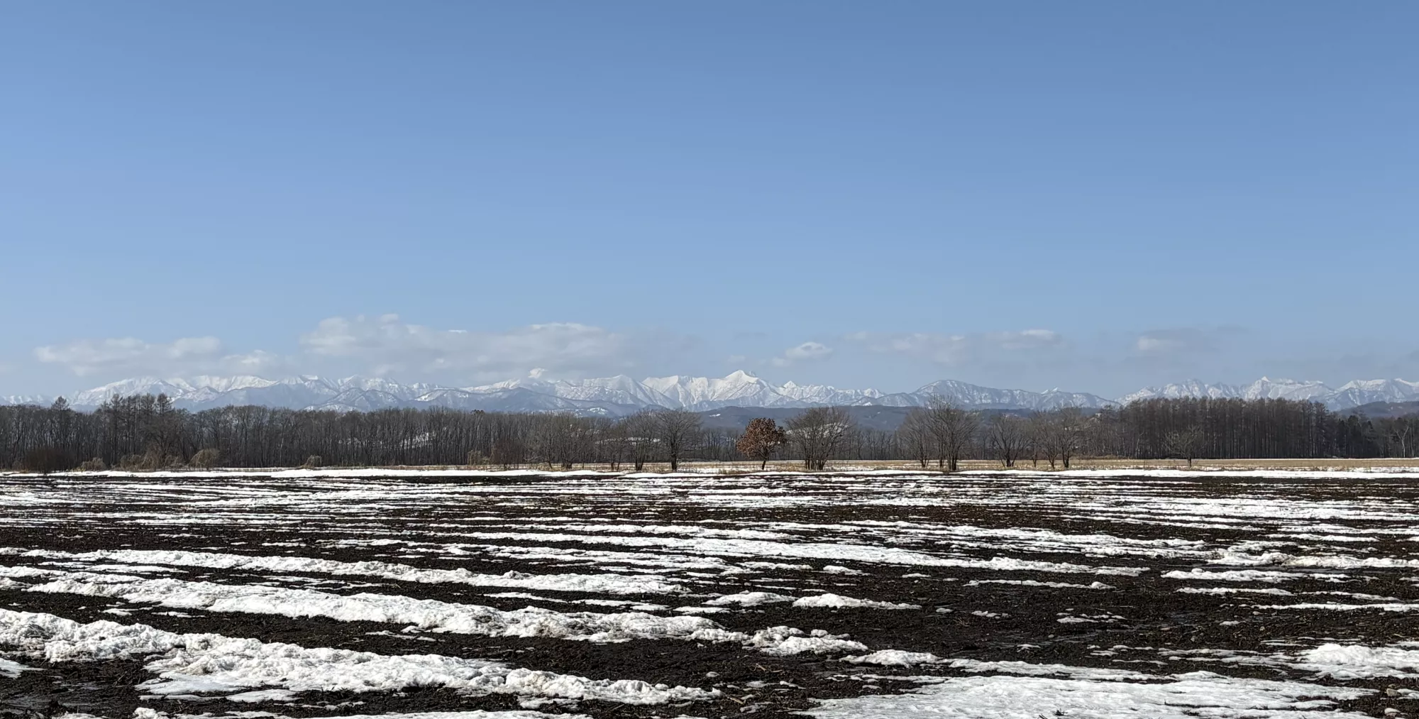 ブログアイコン