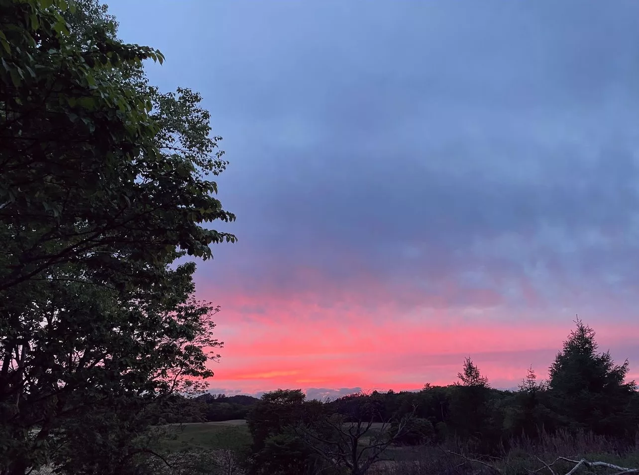 ブログアイコン