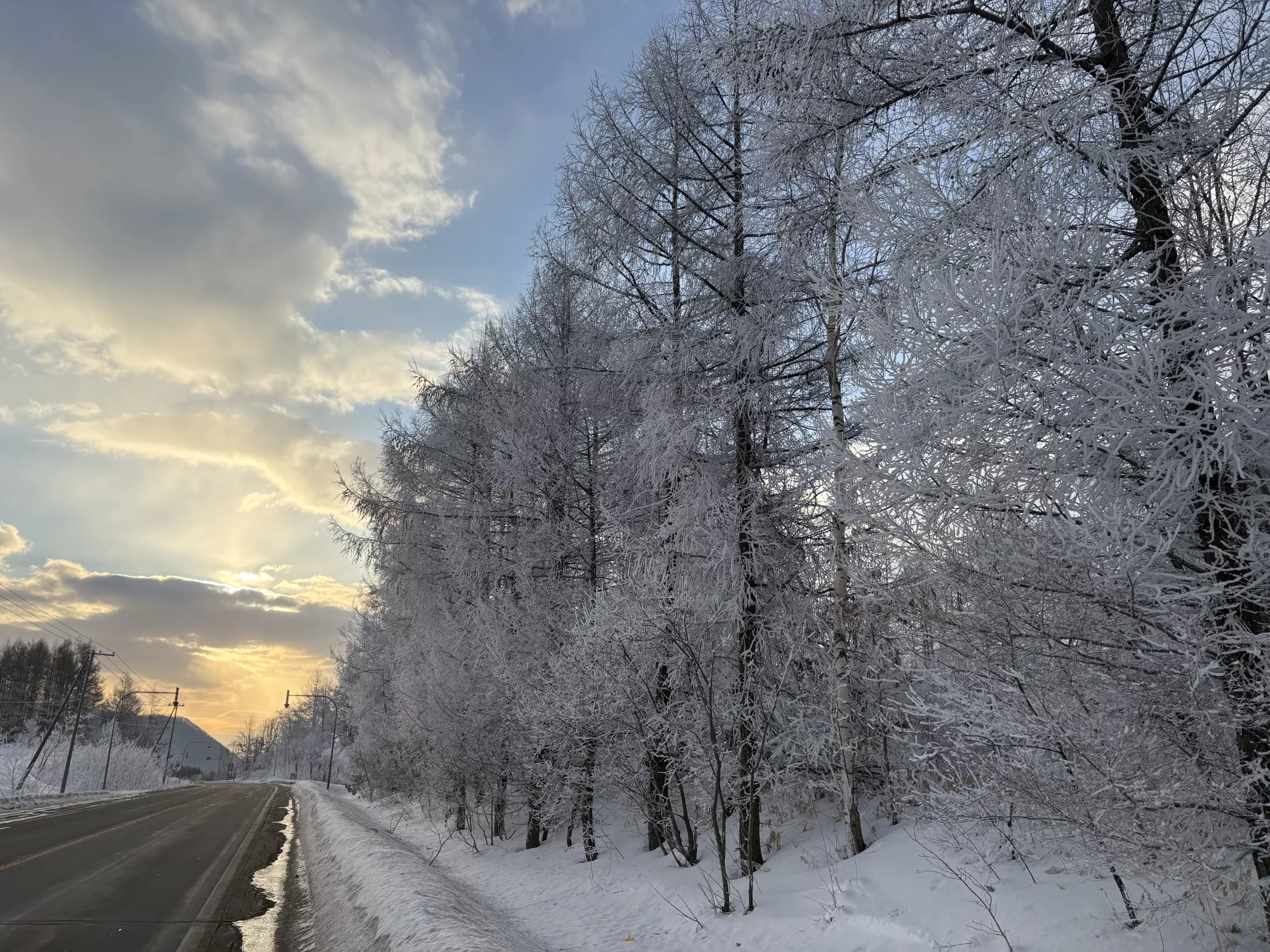 ブログアイコン