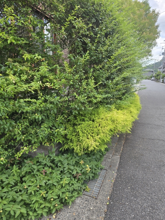 クリックすると拡大します