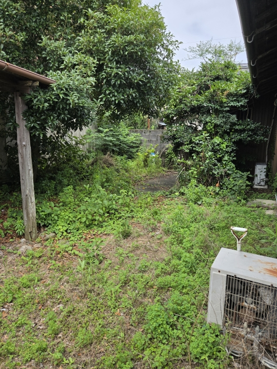 クリックすると拡大します