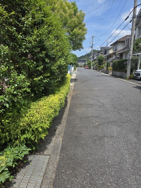 クリックすると拡大します