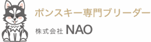 株式会社NAO｜プレミアムポンスキー専門ブリーダー